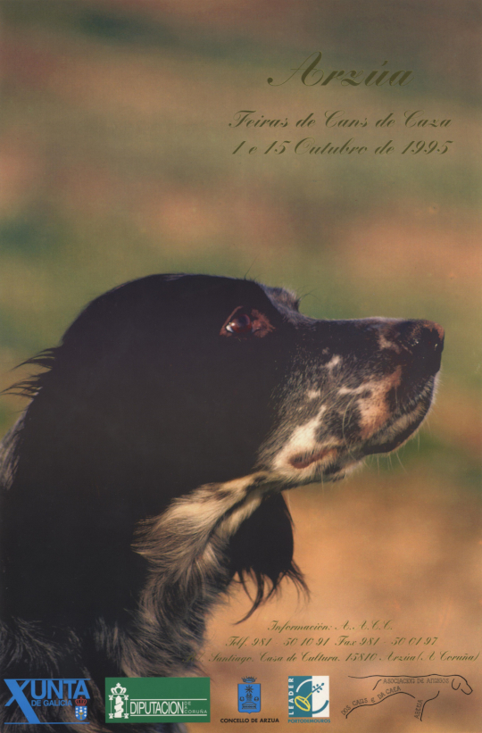 Arzúa Feiras de Cans de Caza 1995